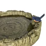 zen fountain garden - Expert Guide and Reviews