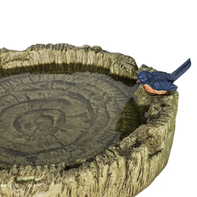 zen fountain garden - Expert Guide and Reviews