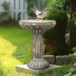 solar powered water fountain outdoor - Expert Guide and Reviews