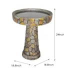 plant water feature - Expert Guide and Reviews