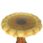 where to place a bird bath - Expert Guide and Reviews
