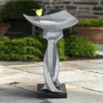 why do birds take dust baths - Expert Guide and Reviews
